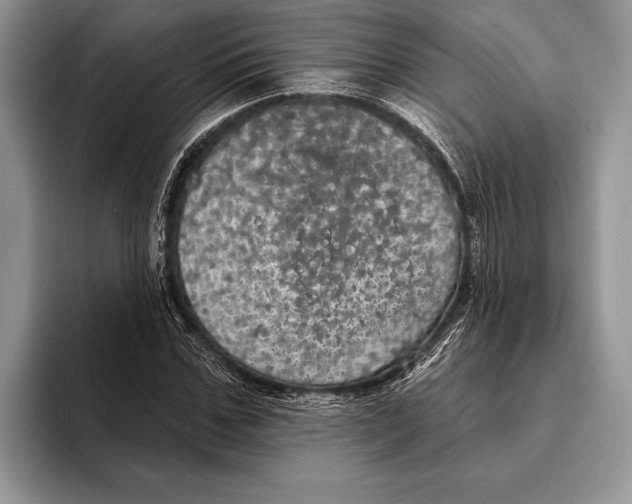 X0000093400971200711091338