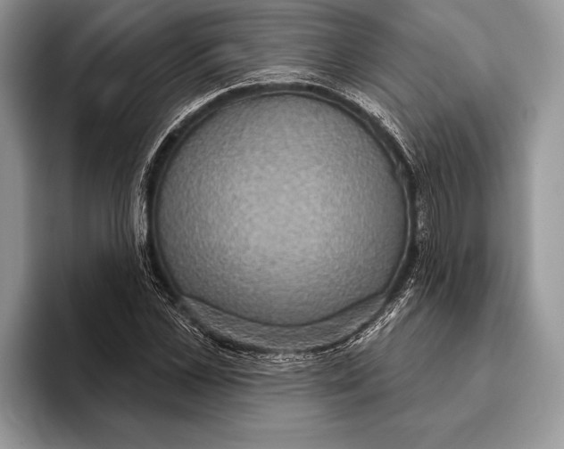 X0000093400973200711091338