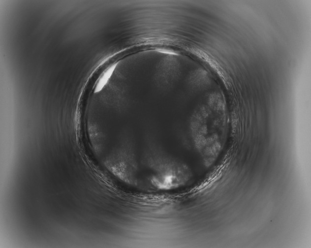 X0000093400975200711091338