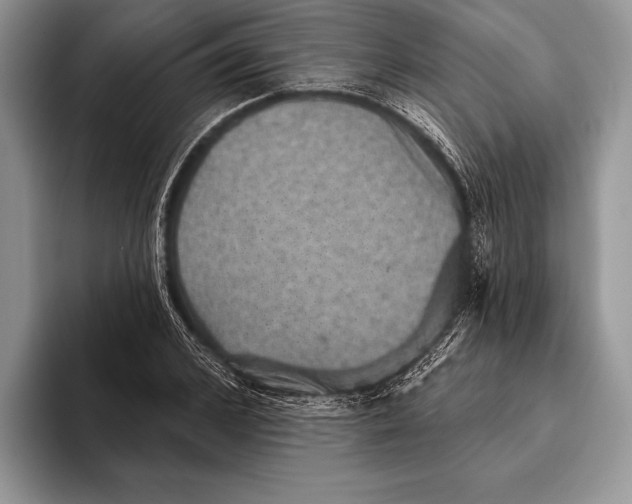 X0000093400976200711091338