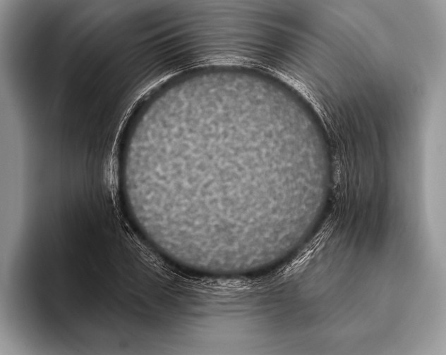 X0000093400979200711091338