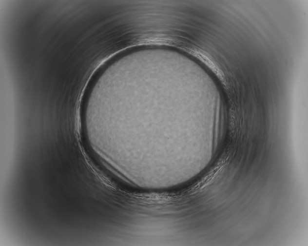 X0000093400980200711091338