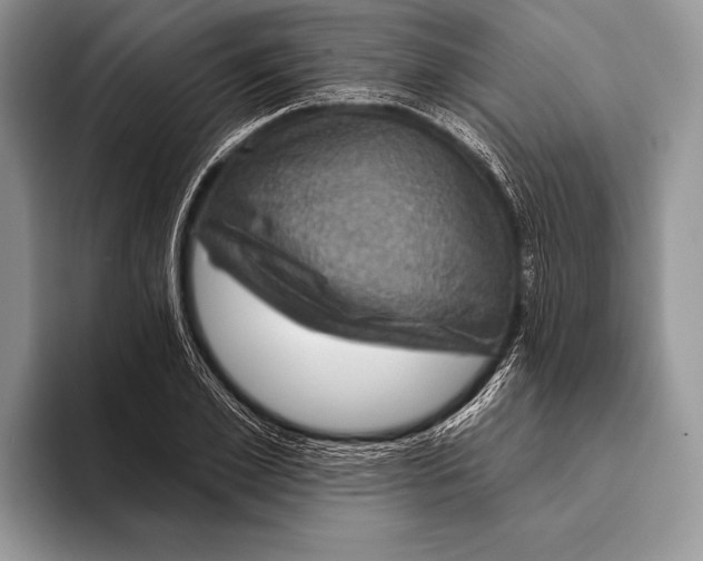 X0000093400981200711091338