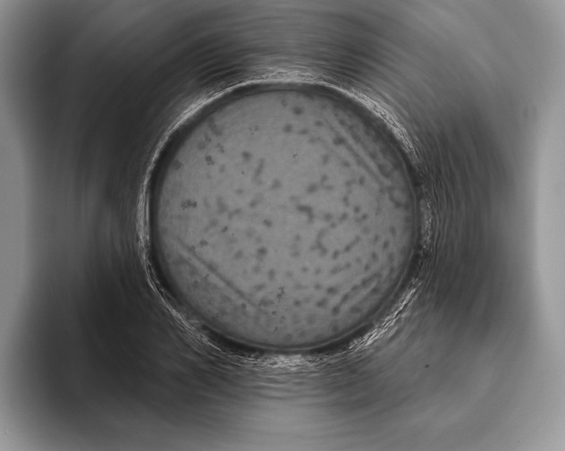 X0000093400982200711091338