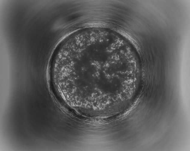 X0000093400983200711091338