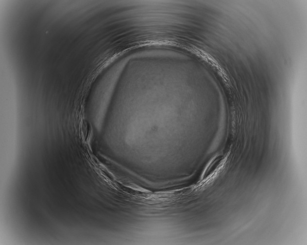 X0000093400985200711091338