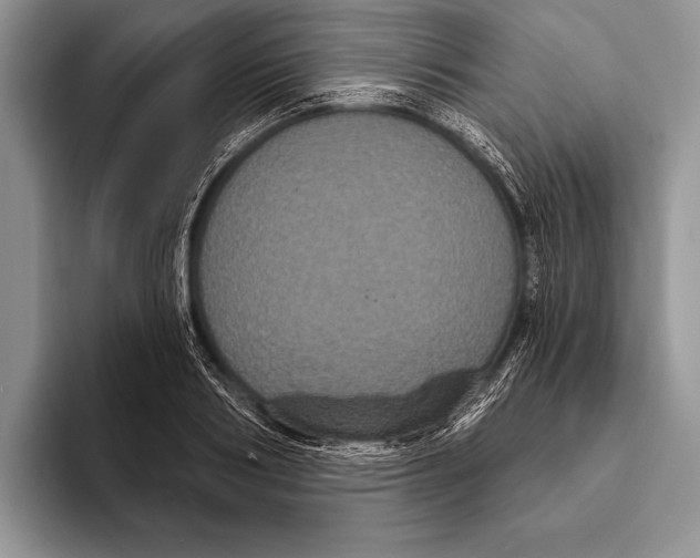 X0000093400986200711091338