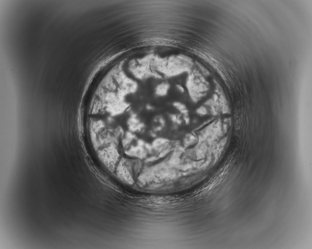 X0000093400987200711091338