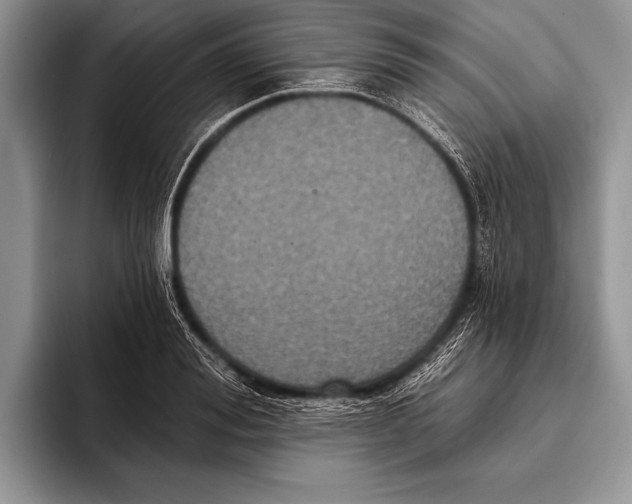 X0000093400988200711091338