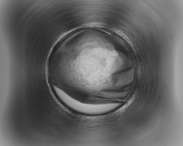 X0000093400989200711091338