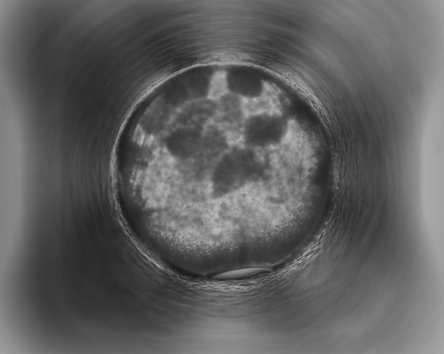 X0000093400990200711091338