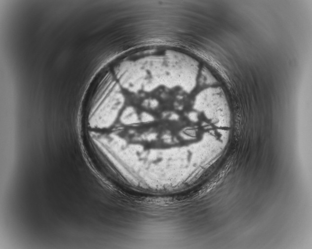 X0000093400991200711091338