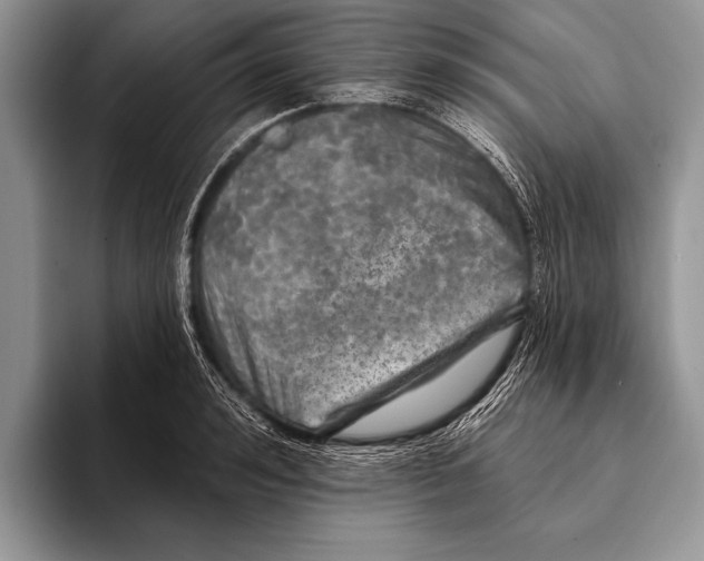 X0000093400992200711091338