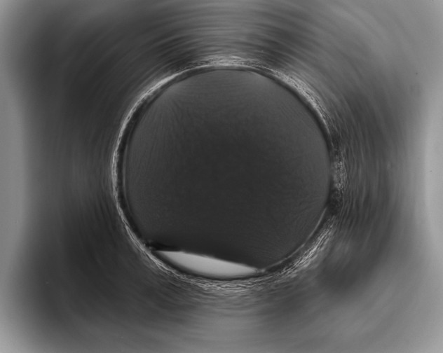 X0000093400995200711091338