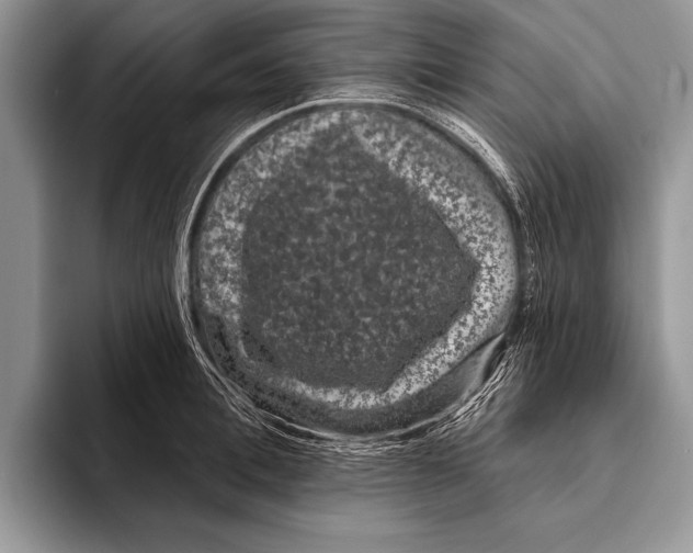 X0000093400996200711091338