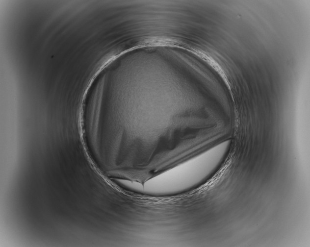 X0000093400997200711091338