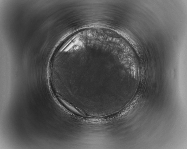 X0000093400998200711091338