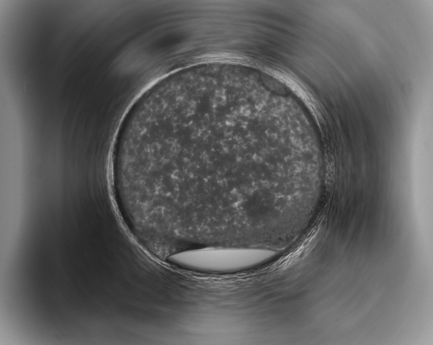 X0000093400999200711091338