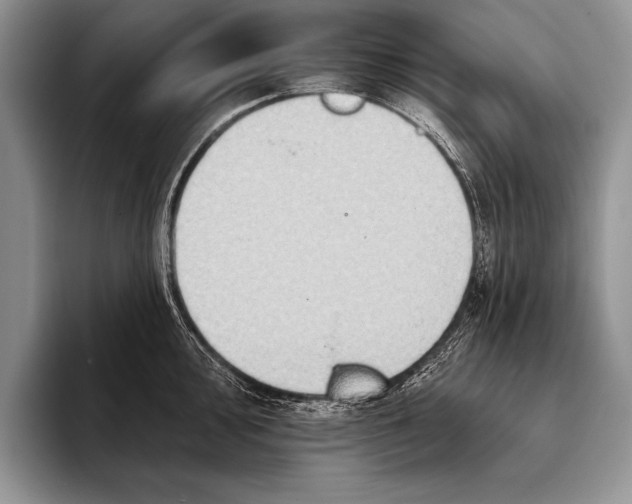 X0000093401000200711091338