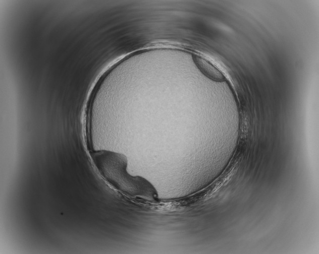 X0000093401003200711091337