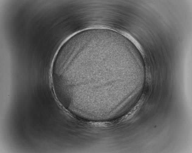 X0000093401004200711091337