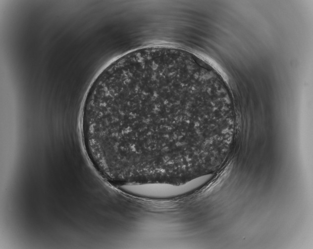 X0000093401007200711091337