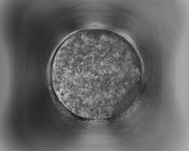 X0000093401008200711091337