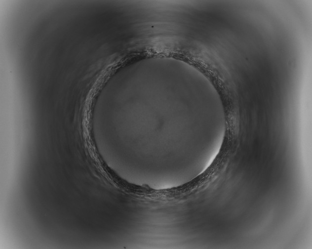 X0000093401009200711091337