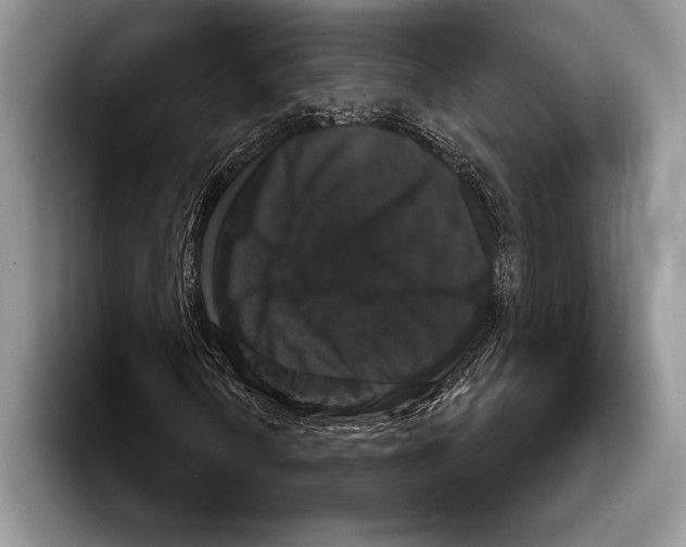 X0000093401010200711091337