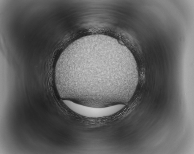 X0000093401012200711091337