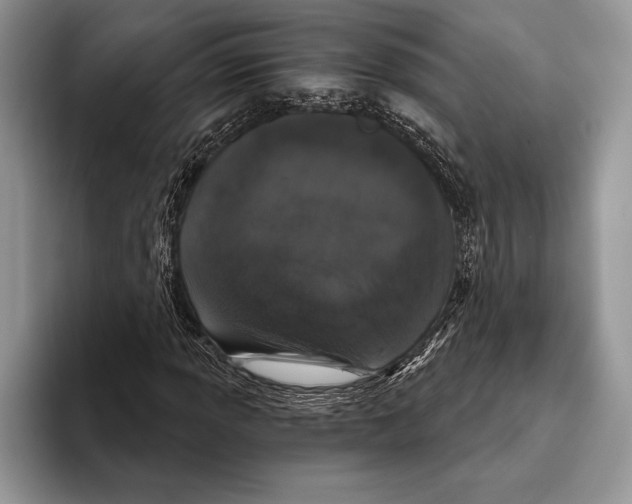 X0000093401013200711091337