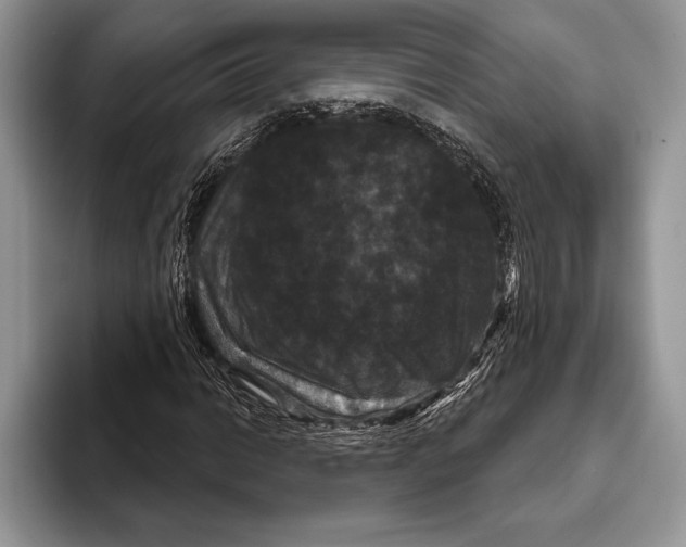 X0000093401014200711091337