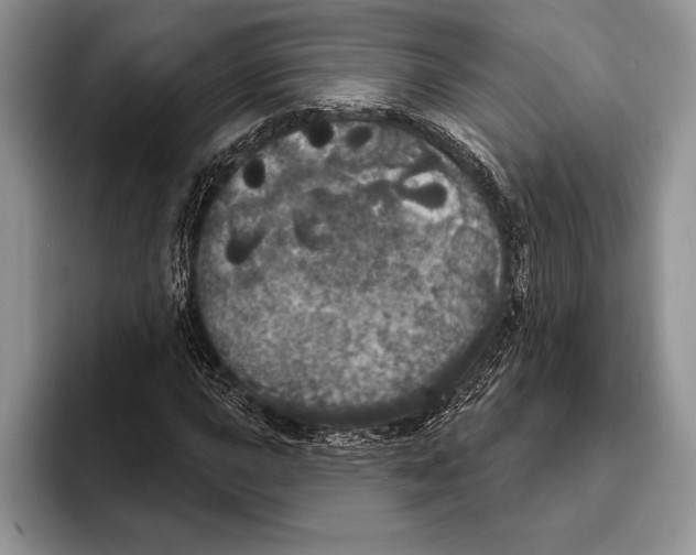 X0000093401015200711091337