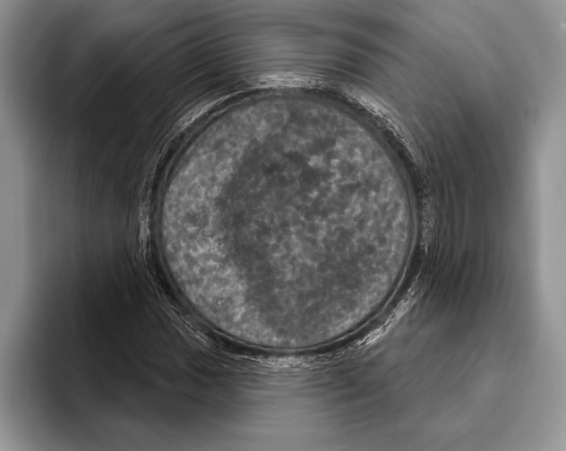 X0000093401017200711091337