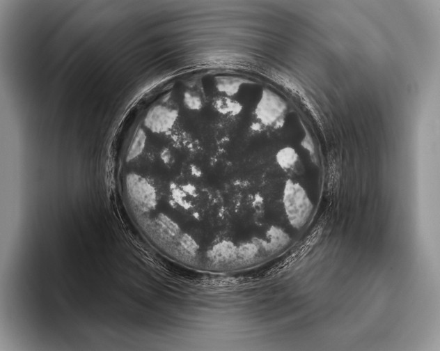 X0000093401019200711091337