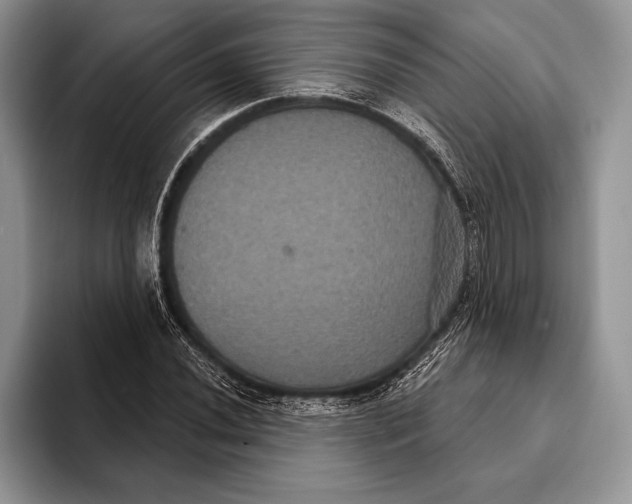 X0000093401020200711091337