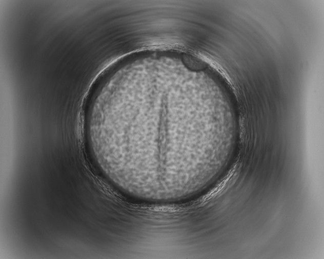 X0000093401021200711091337