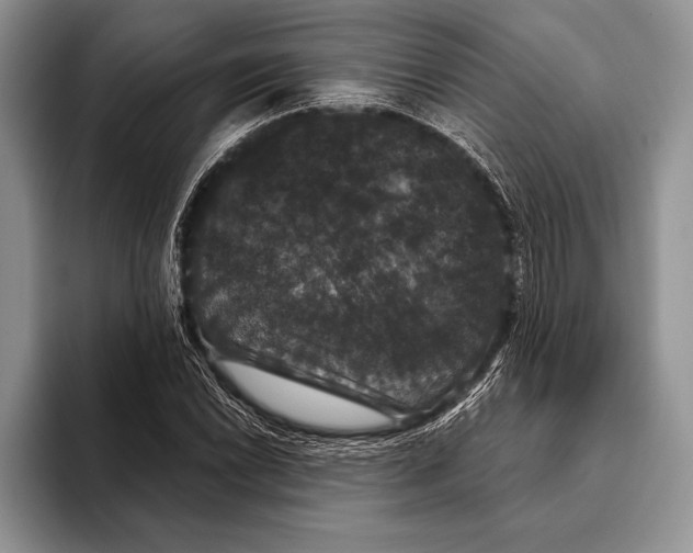 X0000093401022200711091337