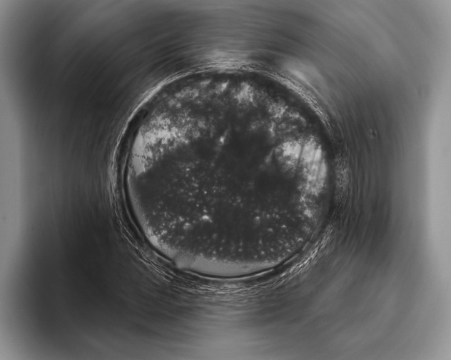 X0000093401023200711091337