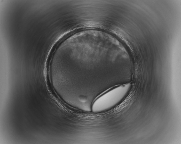 X0000093401024200711091337