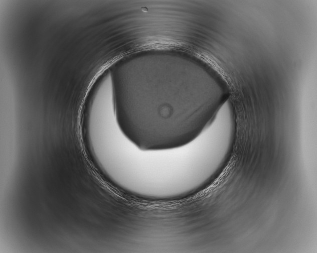 X0000093401026200711091337