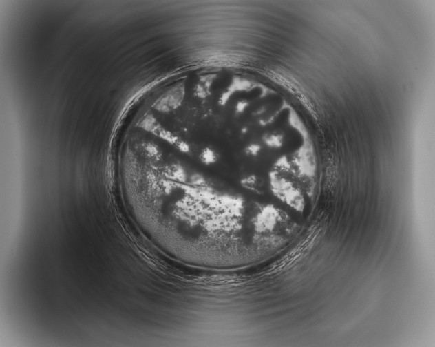 X0000093401027200711091337