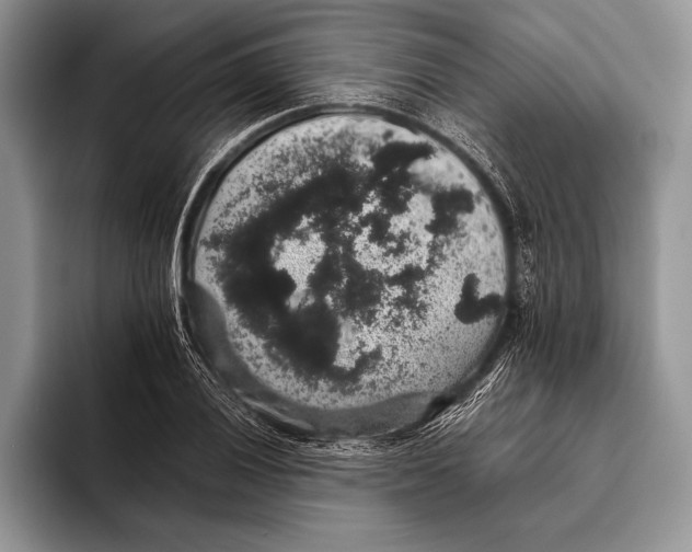 X0000093401028200711091337