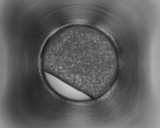 X0000093401029200711091337