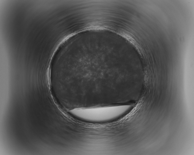 X0000093401030200711091337