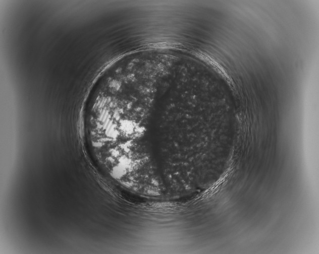 X0000093401031200711091337