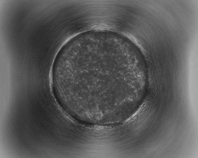 X0000093401032200711091337