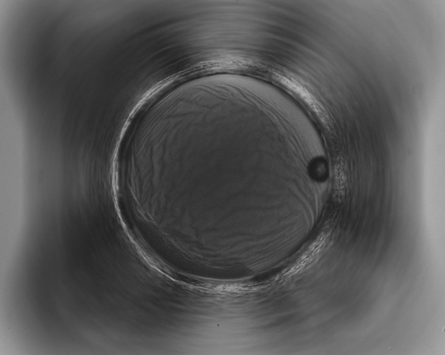 X0000093401034200711091337