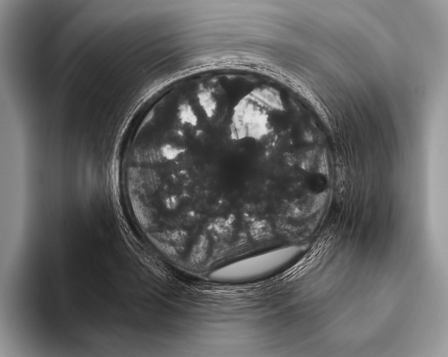 X0000093401035200711091337