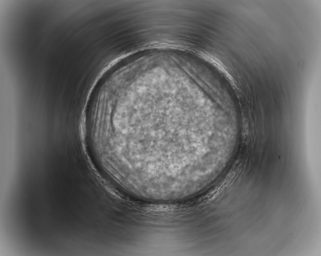 X0000093401040200711091337